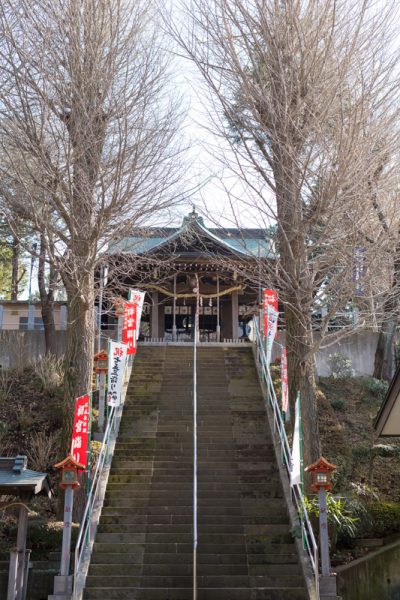 弥生神社の銀杏