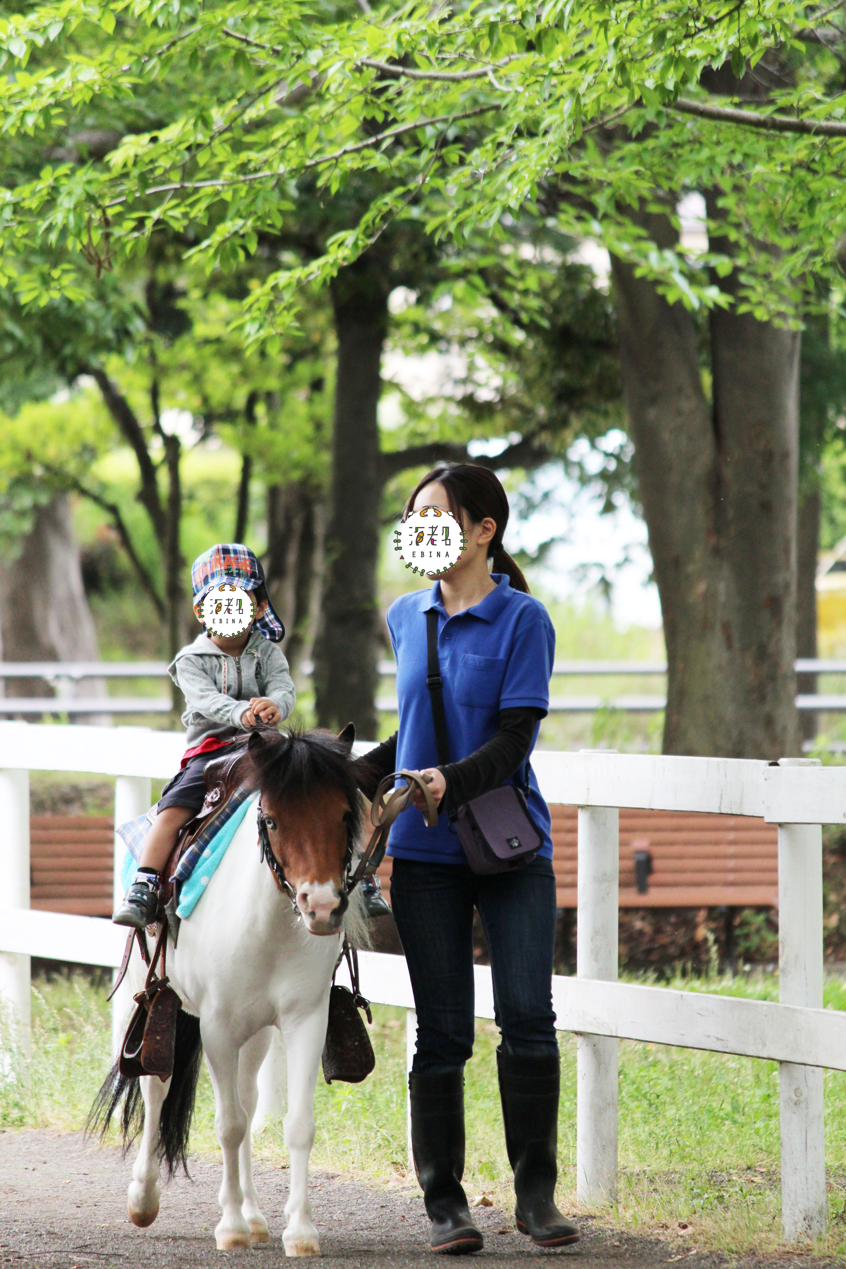 海老名運動公園でポニー乗馬とモルモットのふれあい体験 - 海老名と