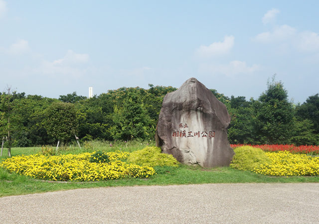 神奈川県立相模三川公園