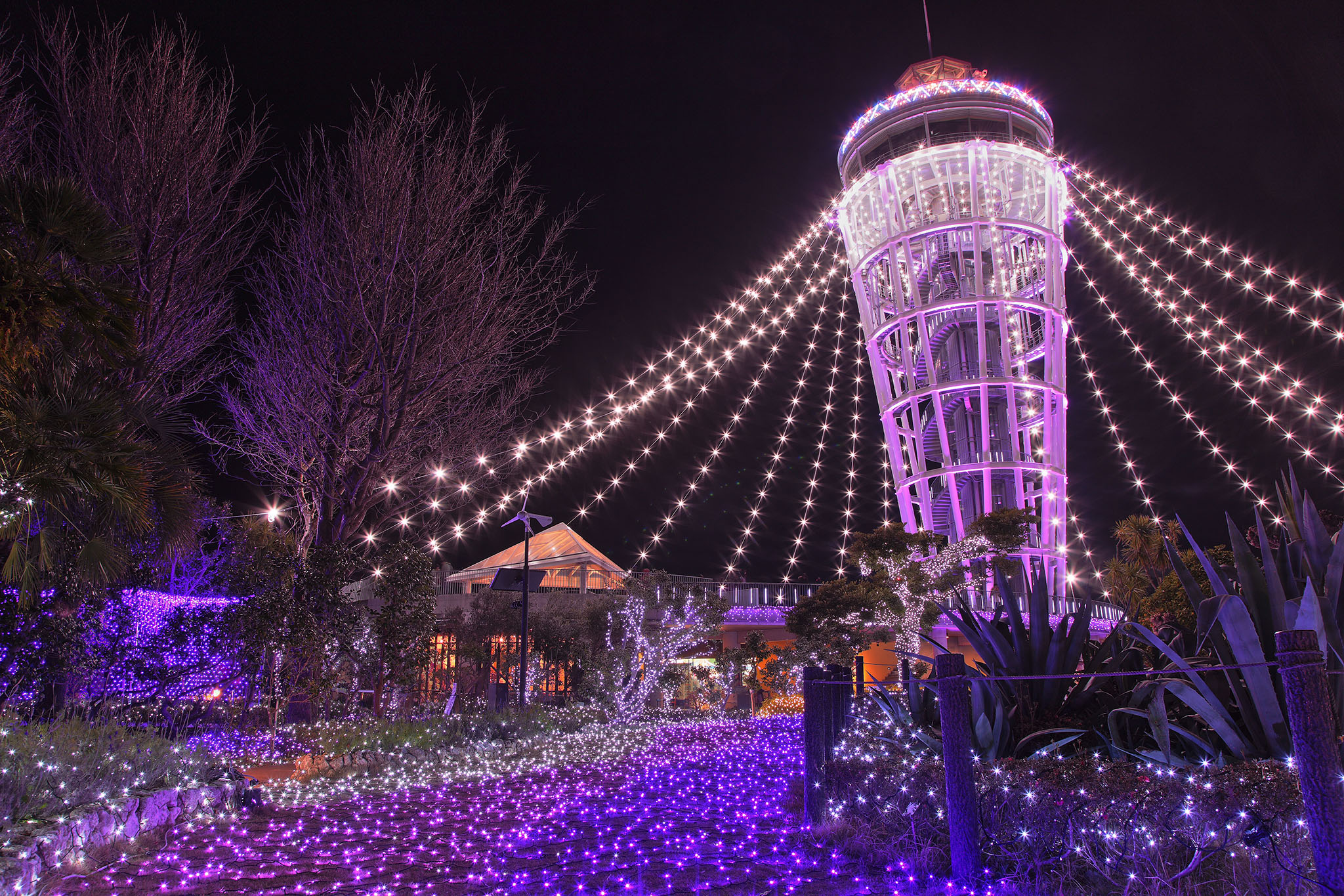 光の楽園！神奈川県央周辺 イルミネーション特集☆2016 - 海老名と厚木