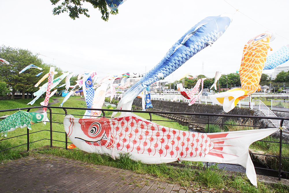 厚木と海老名の空を泳ぐ鯉のぼり - 海老名と厚木を彩る情報＆WEB