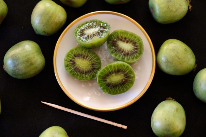 ニュージーランドに行ったら必ず食べたい珍しいフルーツ編 Noma