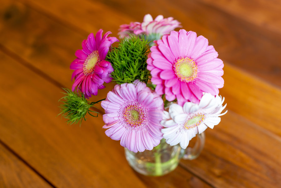 いつもそばにお花がある日常を 宅配無料500円から選べるお花の定期便 ごむの木 Noma
